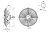 S4D630-BF03-04 Осевой вентилятор ebmpapst